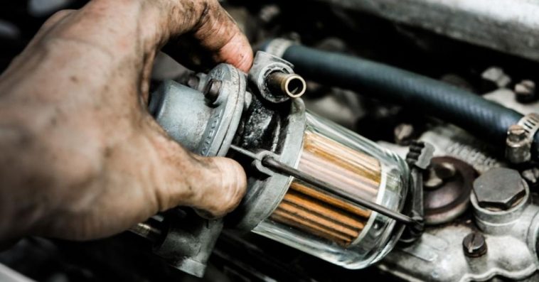 Guiding you through with my review of oil filters to pick from