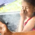 Getting rid of smoke smell in our car, we hate that smell