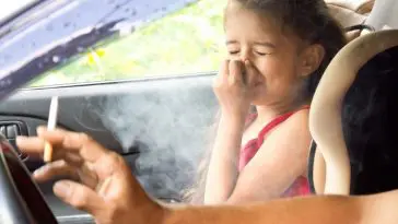 Getting rid of smoke smell in our car, we hate that smell