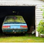 How should I kill mold in my vehicle