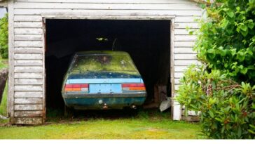 How should I kill mold in my vehicle