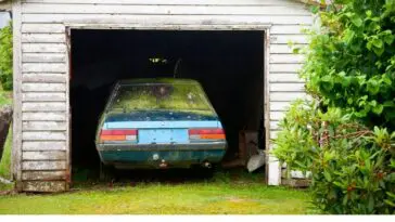 How should I kill mold in my vehicle