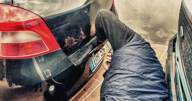 Are all license plate screws the same size? Learn from my guide